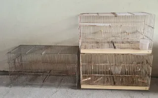 Lote de jaulas y nidos para pájaros