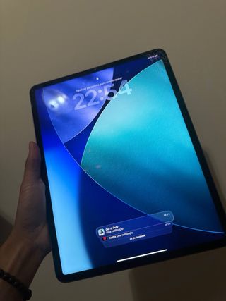 iPad Pro 12.9 (5ta gen) M1 (LEER DESCRIPCIÓN)