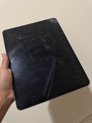 iPad Pro 12.9 (5ta gen) M1 (LEER DESCRIPCIÓN)