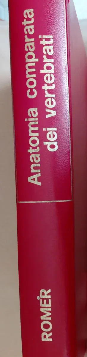 Anatomia comparata dei vertebrati di Alfred Romer