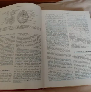 Anatomia comparata dei vertebrati di Alfred Romer