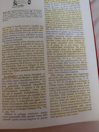 Anatomia comparata dei vertebrati di Alfred Romer