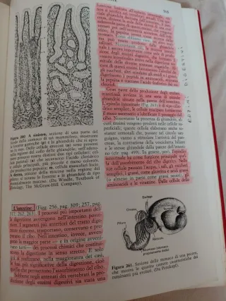 Anatomia comparata dei vertebrati di Alfred Romer