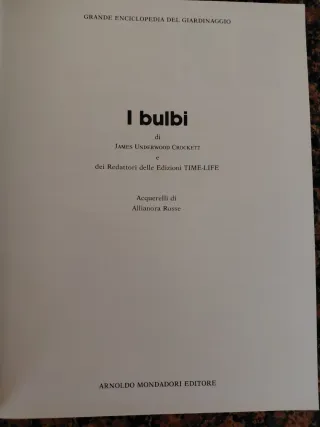 I bulbi di James Underwood Crockett