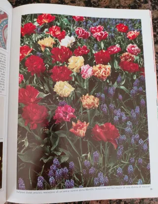 I bulbi di James Underwood Crockett