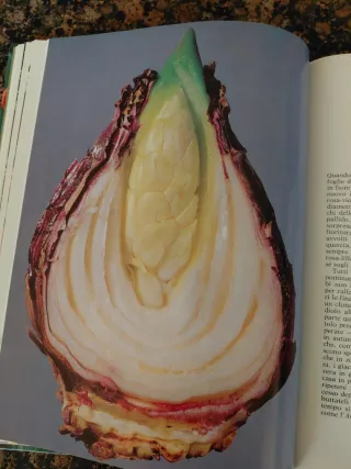 I bulbi di James Underwood Crockett