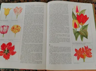 I bulbi di James Underwood Crockett