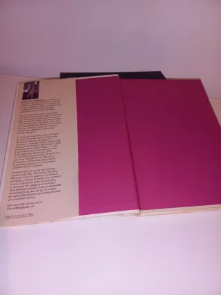 Lote 3 libros Rosetta Forner y Silvia Salinas