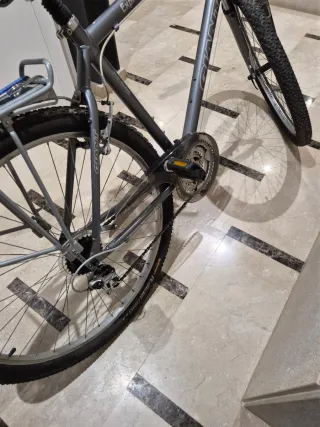 Bicicleta Giant Expression DX Gris