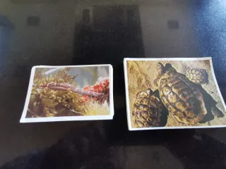 Cromos Antiguos Fútbol y Baloncesto