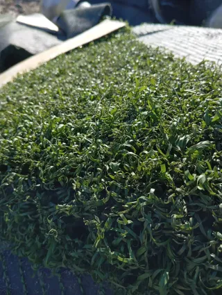 Venta césped artificial