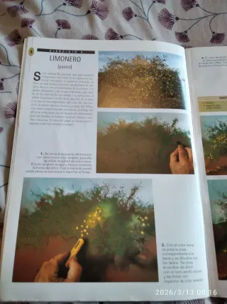 Ejercicios Parramon arboles