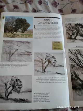 Ejercicios Parramon arboles