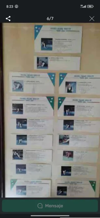 Mesa de billar francés carambola