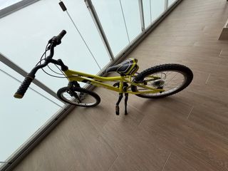Bicicleta B-Pro 20”