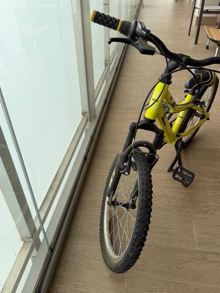 Bicicleta B-Pro 20”