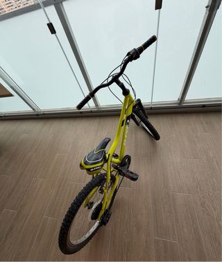 Bicicleta B-Pro 20”