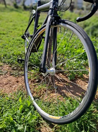 Bicicleta PRORACE Carbono - Talla M