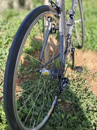 Bicicleta PRORACE Carbono - Talla M