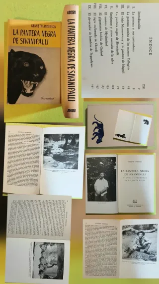 Libros varios, precios y datos en la última foto.