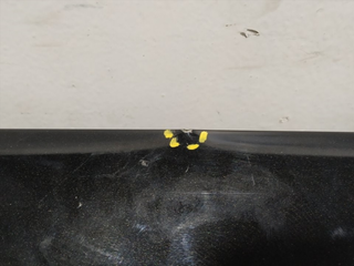 PORTON TRASERO NISSAN QASHQAI (J11E)