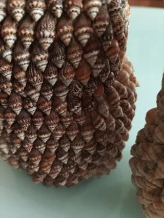 Figure di gufi in conchiglie cauri