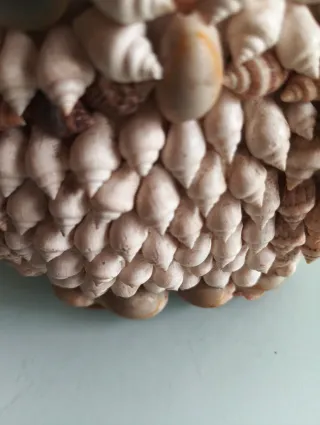 Figure di gufi in conchiglie cauri