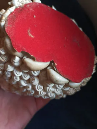 Figure di gufi in conchiglie cauri