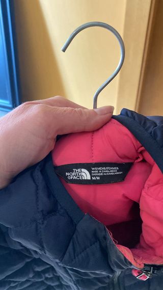 Chaqueta The North Face Azul y Rosa
