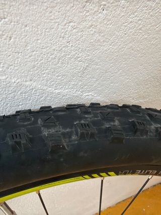 Rueda Delantera 29 Bontrager Maxxis