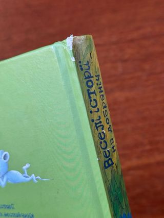 Libro infantil en ucraniano cuentos para dormir