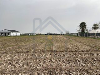 Terreno en venta en Palacios y Villafranca (Los)