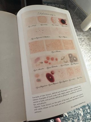 Libro Human Anatomy: Depicting the Body