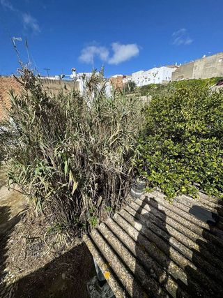 Solar en venta en Arcos de la Frontera