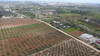 Terreno en venta en Bollullos de la Mitación