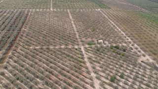 Terreno en venta en Bollullos de la Mitación