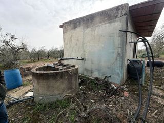 Terreno en venta en Bollullos de la Mitación