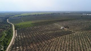 Terreno en venta en Bollullos de la Mitación