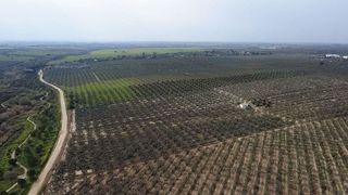 Terreno en venta en Bollullos de la Mitación