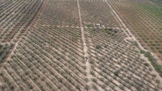 Terreno en venta en Bollullos de la Mitación