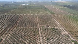 Terreno en venta en Bollullos de la Mitación