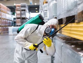 CONTROL DE PLAGAS GRANADA