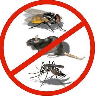 CONTROL DE PLAGAS GRANADA