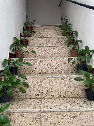 Edificio en venta en Tarifa