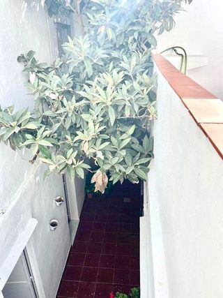 Edificio en venta en Tarifa