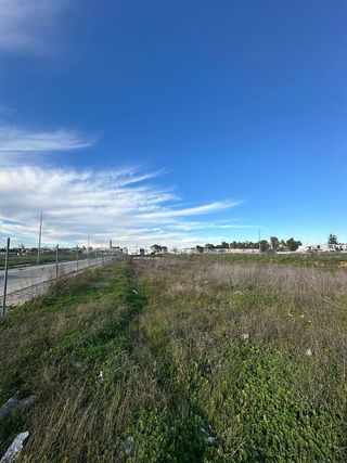 Terreno en venta en Utrera