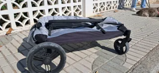 Carrito para perro PawHut muy buen estado