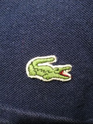 Polo Lacoste +100€ L a XL + regalo