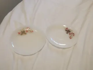 Arcopal Francia Platos Florales