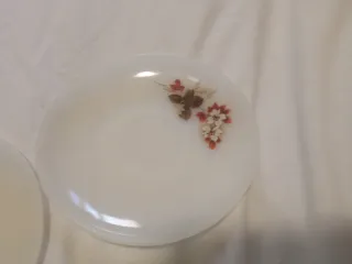 Arcopal Francia Platos Florales